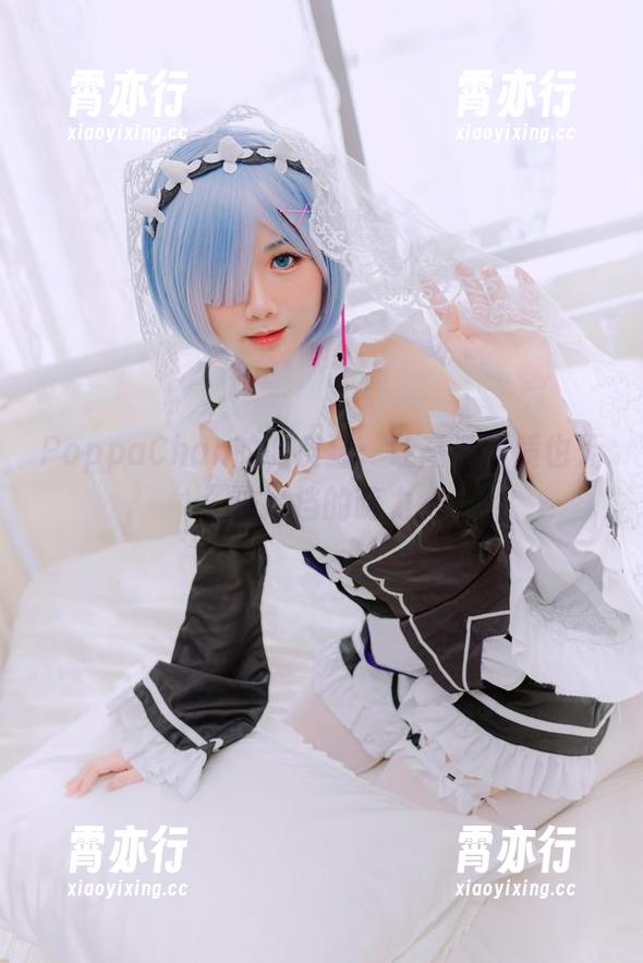 PoppaChan PoppaChan的调皮猫:让高清画质也无法抵挡的萌力