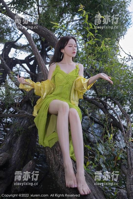 Xiuren秀人网-林文文 Xiuren秀人网 - 林文文与她的图包:女仆写真里的微光暗影